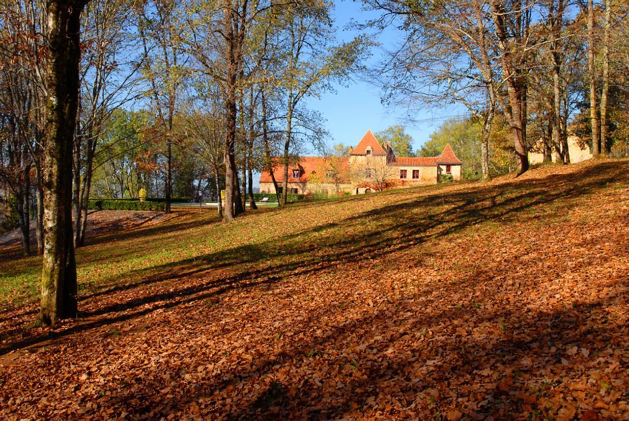 Le Manoir Du Rocher Domme Exterior photo